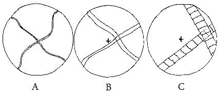 Fig.