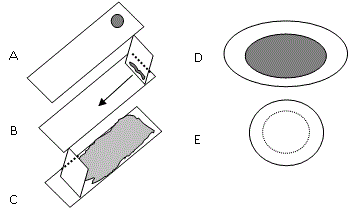 Fig.