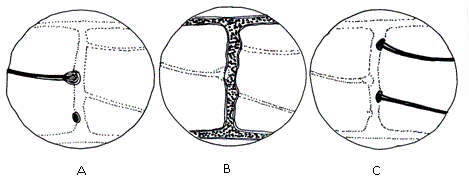 Fig.