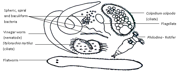 Fig.