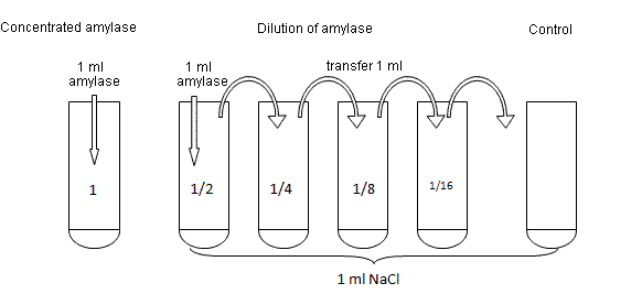 fig.