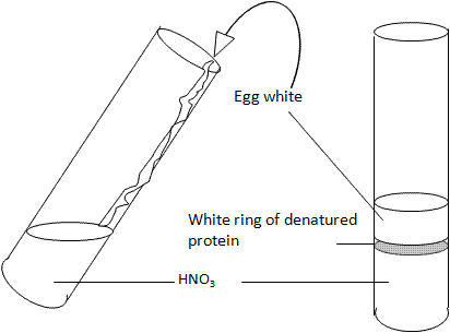 fig.
