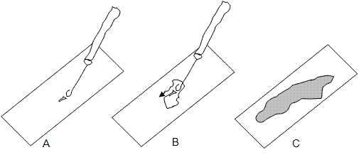 fig.