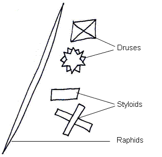 fig.