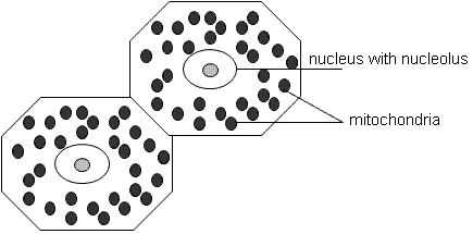 fig.