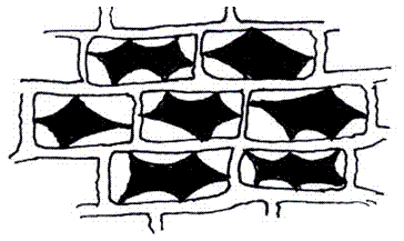 fig.