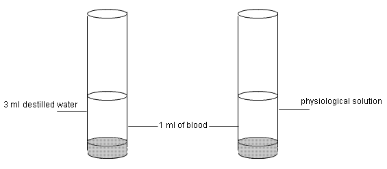 fig.