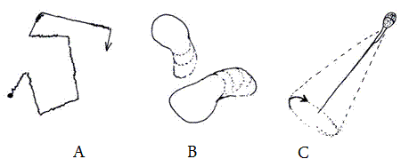 fig.