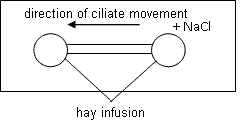 fig.