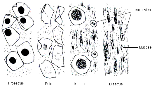 fig.