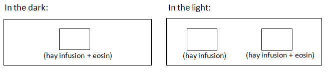 fig.