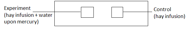 fig.