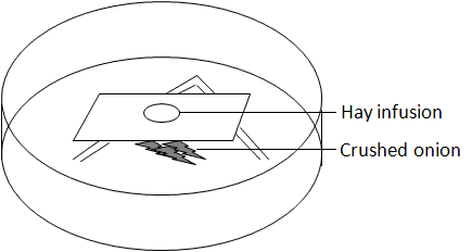 fig.