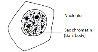 fig.