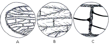 Fig.