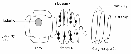 obr.