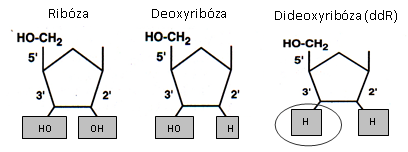 obr.