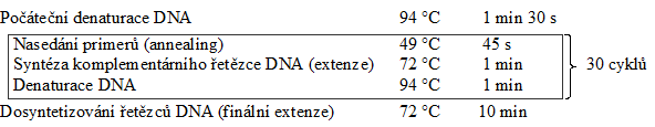 Program PCR amplifikace