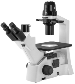 inverzní mikroskop